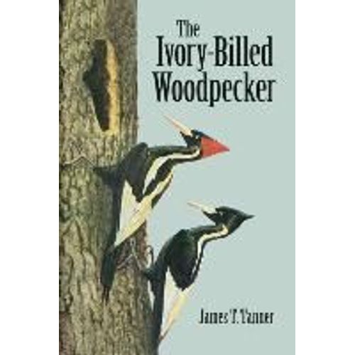 The Ivory-Billed Woodpecker