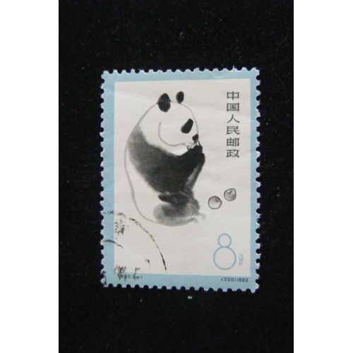 Panda (8)