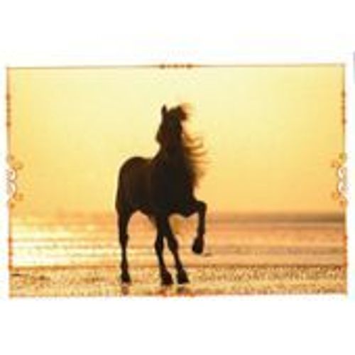 N°62 Image Panini Chevaux Un Voyage A Travers La Couleur