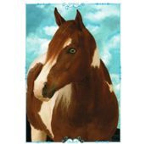 Image Panini Chevaux Un Voyage A Travers Les Couleurs N°141
