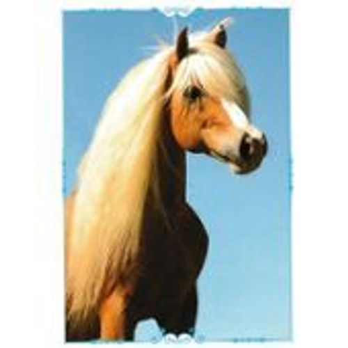 N°147 Image Panini Chevaux Un Voyage A Travers Les Couleurs