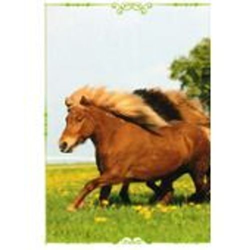 N°110 Image Panini Chevaux Un Voyage A Travers Les Couleurs