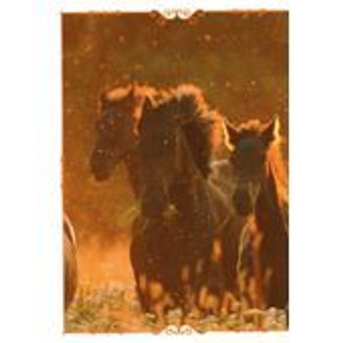 N°63 Image Panini Chevaux Un Voyage A Travers Les Couleurs