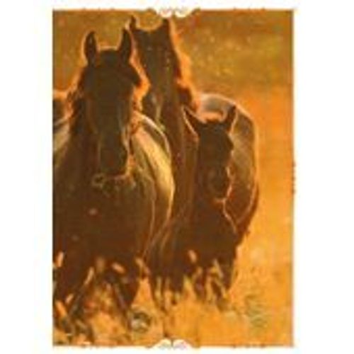 N°65 Image Panini Chevaux Un Voyage A Travers Les Couleurs