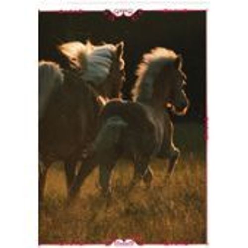 N?170 Image Panini Chevaux Un Voyage A Travers Les Couleurs