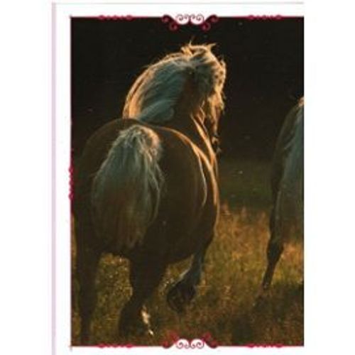 N°169 Image Panini Chevaux Un Voyage A Travers Les Couleurs