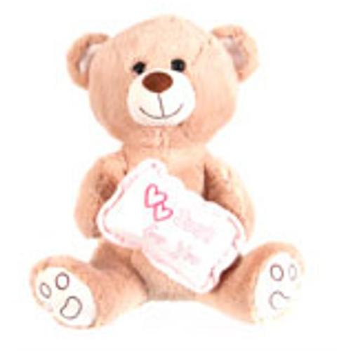 Peluche Ourson Avec Son Coussin - Just For You