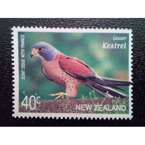 Timbre New-Zelande Yt 1793 Faucon Crécerelle (Falco Naumanni) 2000