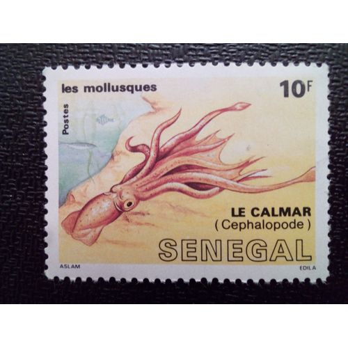 Timbre Senegal Yt 754 Kalmar (Loligo Sp.) 1988