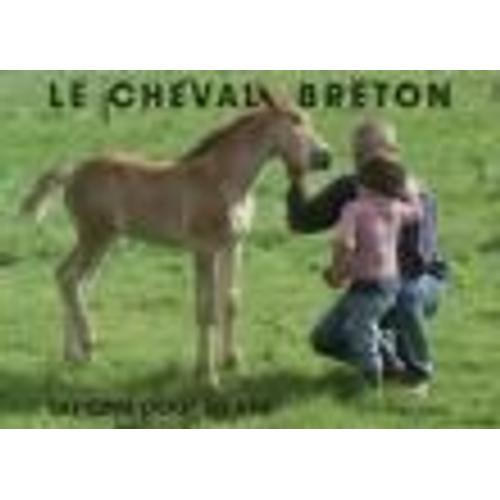 Le Cheval Breton Un Ami Pour La Vie