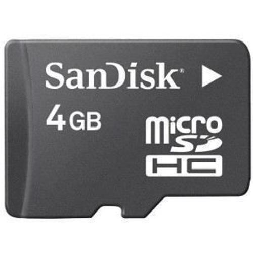 SanDisk - Carte mémoire flash - 2 Go - micro SD