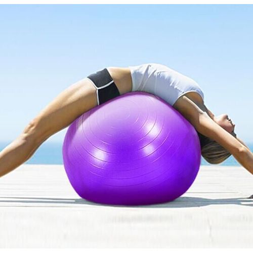 Swiss Ball Fitness Pilates Yoga Bleu 75cm M
