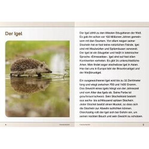 Ich Kenne Den Igel