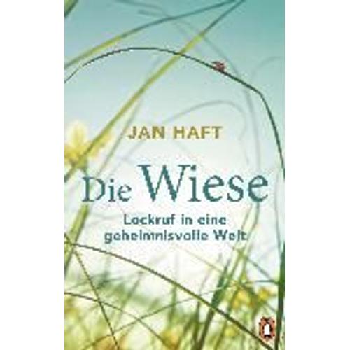 Die Wiese