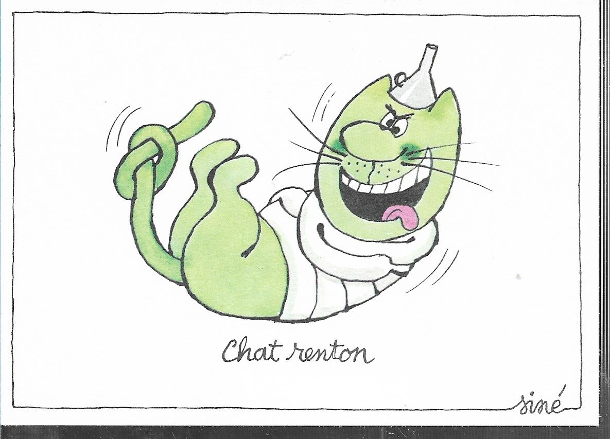 Chat De Sine Chat Renton Carte Postale Rakuten