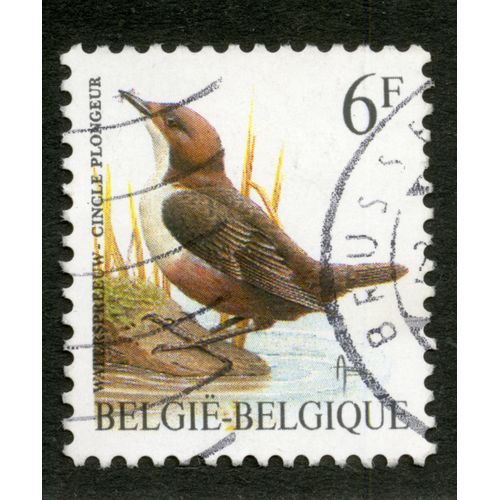 Timbre Oblitéré België - Belgique, Cincle Plongeur, 6f