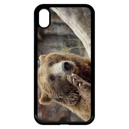 Coque Iphone Xr - Gros Ours Brun - Noir