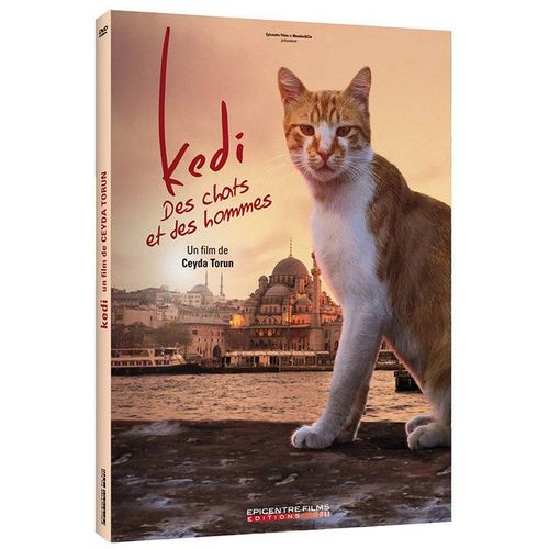 Kedi - Des Chats Et Des Hommes