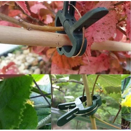 orchid/ées tomates Vert LAMF Lot de 200 Clips de Support pour Plantes pour Plantes de Vigne de Fleurs tomates