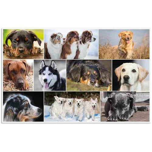 Herma Sous-Main "Chiens", (L)550 X (H)350 Mm