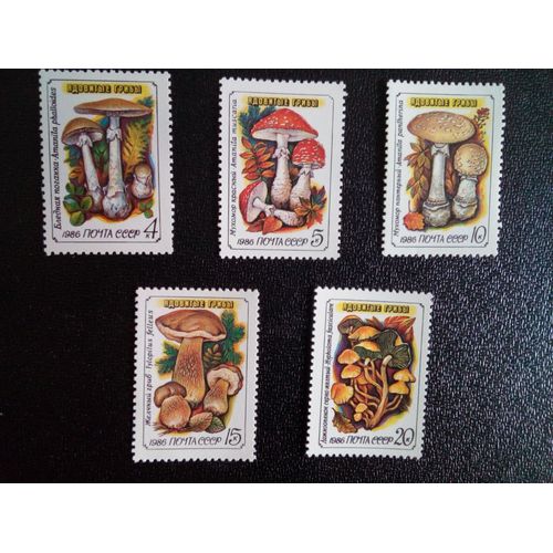 Timbre Russie - Urss - Union Soviétique Yt 5304 À 5308 Séries: Champignons 1986