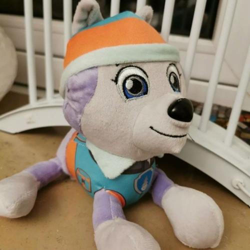 Paw Patrol Everest Peluche Peluche Peluche 20 Cm Goodnice