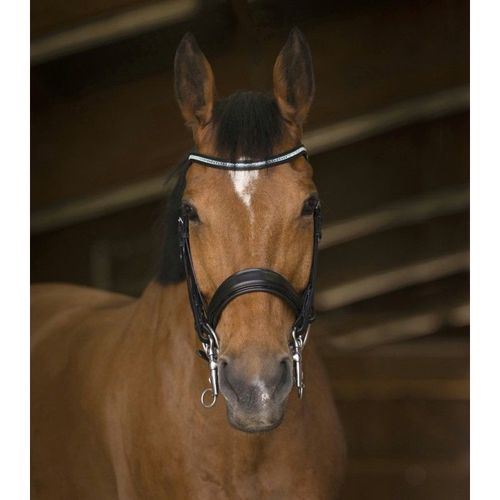 Bride Norton Pro "Diadème" Taille Cheval, Noir, By Sellerie Du Loudunais