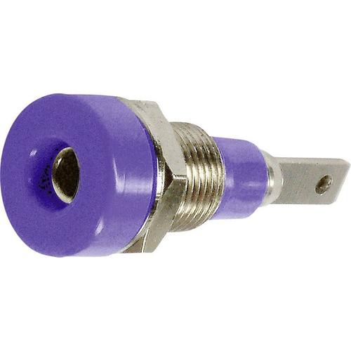 Douille banane Ø de la broche: 2 mm Stäubli LB-I2R 23.0030-26 violet 1 pc(s)