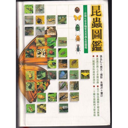 Livre Illustre En Japonais Sur Les Insectes