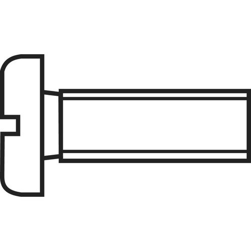 Vis cylindrique TOOLCRAFT 815829 10 pc(s) M3 20 mm tête cylindrique plat plastique, Polyamide N/A