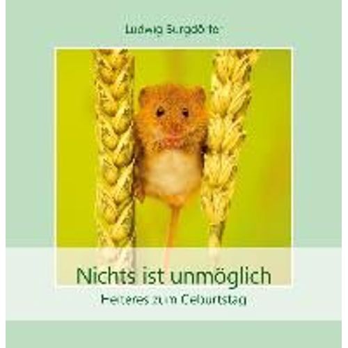 Nichts Ist Unmöglich