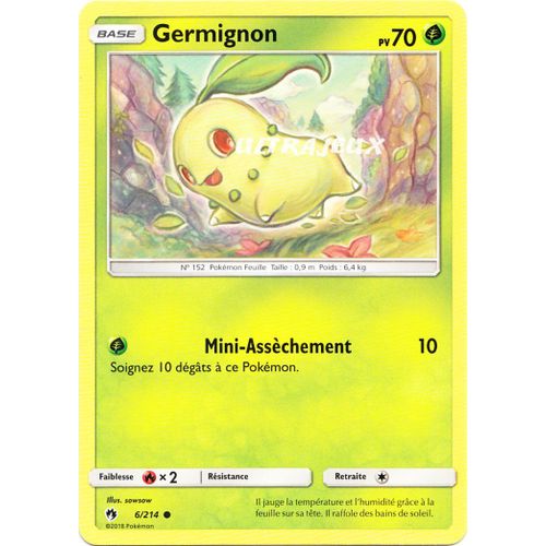 Pokémon - 6-R/214 - Germignon - Reverse