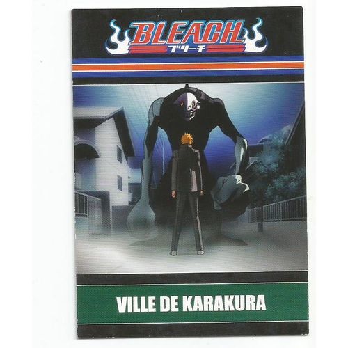 Bleach N°65