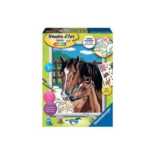 Peinture Numero D'art Chevaux Tendresse 15 Couleurs - Tableau Moyen Format