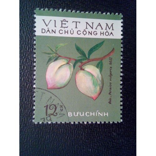 Timbre Vietnam - Nord Yt 856 Pêche (Mill Persica Vulgaris) 1975