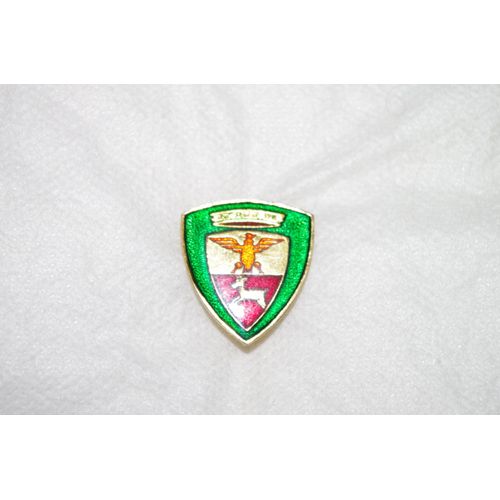 Insigne Armée Italienne