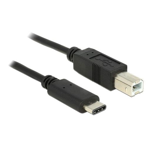 Delock - Câble USB - 24 pin USB-C (M) pour USB type B (M) - USB 2.0 - 3 A - 50 cm - noir