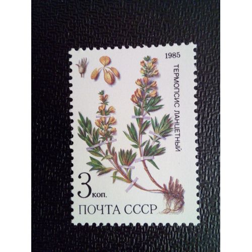 Timbre Russie Urss Cccp Yt 5233 Thermopsis Laneeolata 1985