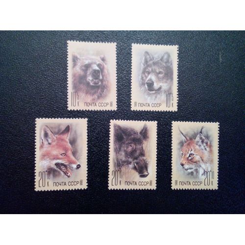 Timbre Russie Urss Cccp Yt 5558 À 5562 Séries: Fonds De Secours Zoo 1988