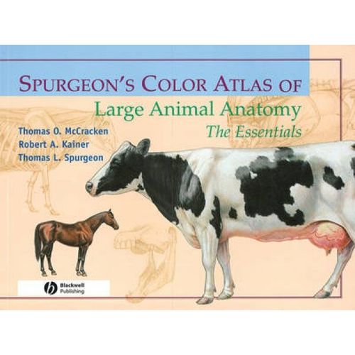 Spurgeon's Color Atlas Of Large Animal Anatomy
