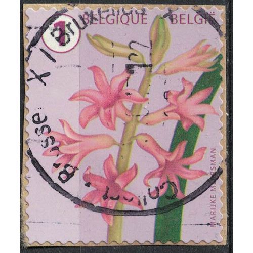 Belgique 2016 Oblitéré Used Fleur Flower Hyacinth Jacinthe Véritable Su
