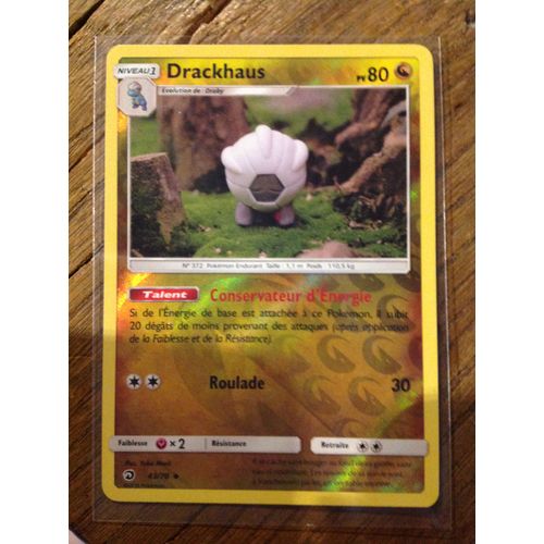Drackhaus Reverse 43/70 Série Majesté Des Dragons