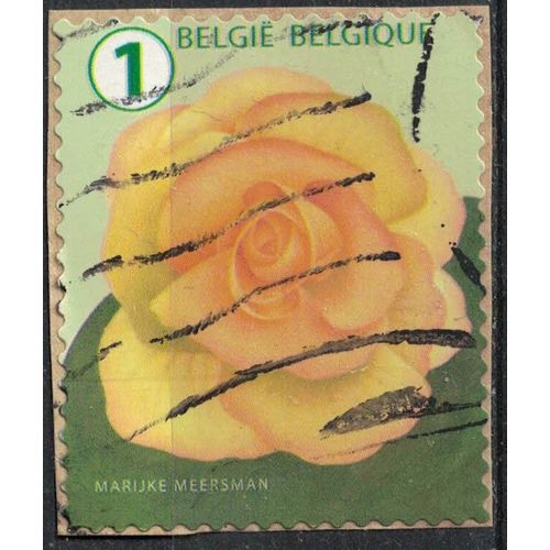 Belgique 2016 Oblitéré Used Flower Fleur Bégonia Su