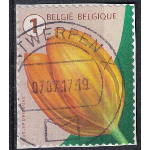 Belgique 2016 Oblitéré Used Flower Fleur Tulip Tulipe Su