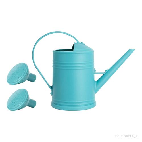 Arrosoir Design rétro 2L, arroseur de plantes pour jardin, cour et campagne