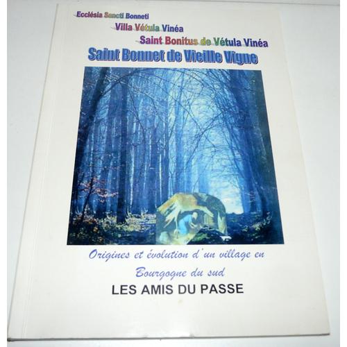 Saint Bonnet De Vieille Vigne, Origines Et Évolution D'un Village En Bourgogne Du Sud