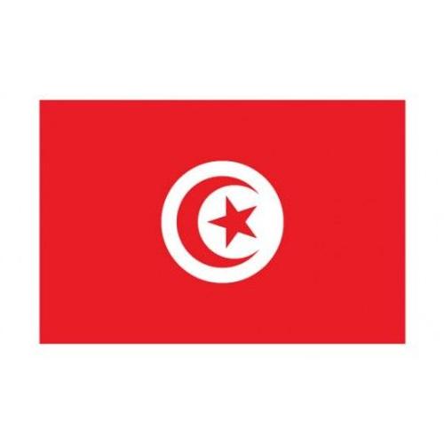 Autocollant Drapeau Tunisia Tunisie sticker flag 4 cm