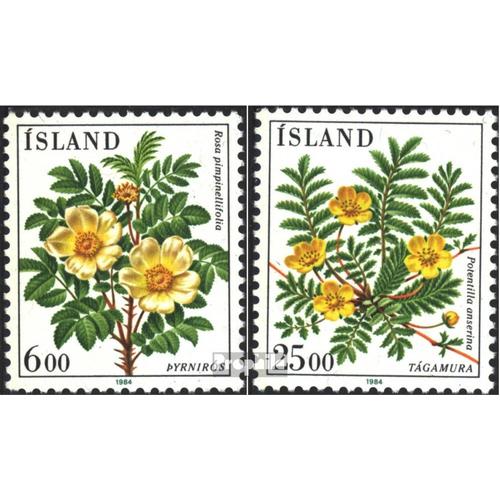 Islande 612-613 (Édition Complète) Neuf 1984 Fleurs