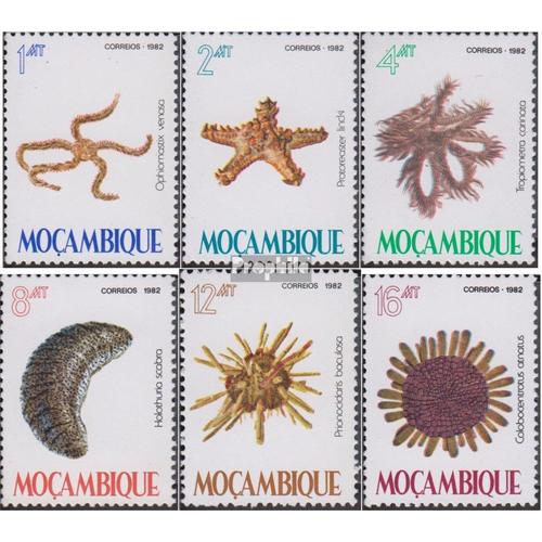 Mosambik 913-918 (Complète Edition) Neuf Avec Gomme Originale 1982 Échinodermes