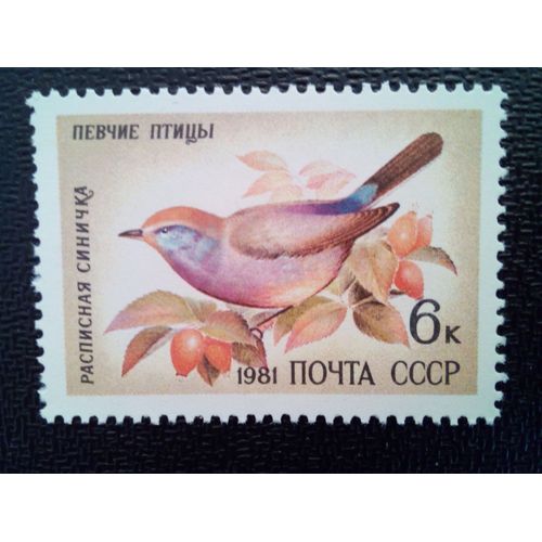 Timbre Russie - Urss - Union Soviétique Yt 4838 Paruline À Sourcils Blancs (Leptopoecile Sophiae) 1981